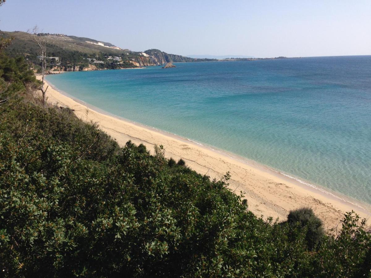 Villaparadiso Beach Front Villa Makris Gialos Argostoli  Eksteriør bilde